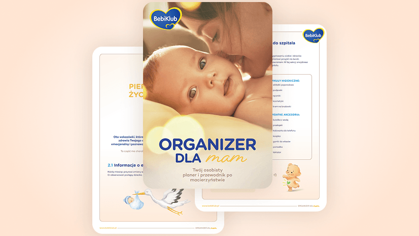 Organizer_Hero_bckg-mobile